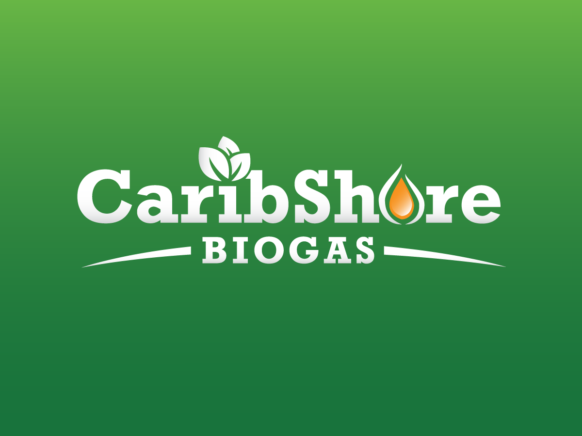 Logo Design by wolf for this project | Design #1187941