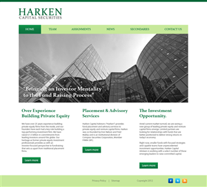 Financial Services Company | Wordpress Design by wolf