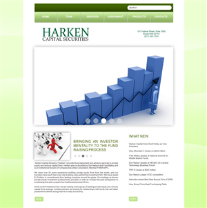 Financial Services Company | Wordpress Design by nokiarie