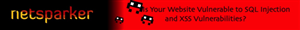 Banner Ad Design by Snipper for WP White Security | Design #4167809