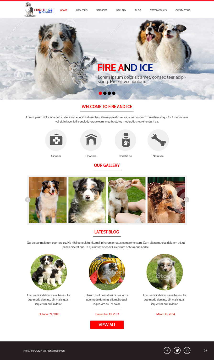 Diseño Web por pb para Case by Case Inc | Diseño #4176976