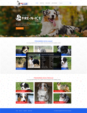 Web Design par the-lion-king pour Case by Case Inc | Design : #4172934