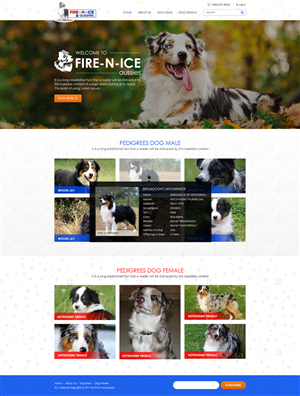 Web Design par the-lion-king pour Case by Case Inc | Design : #4172941