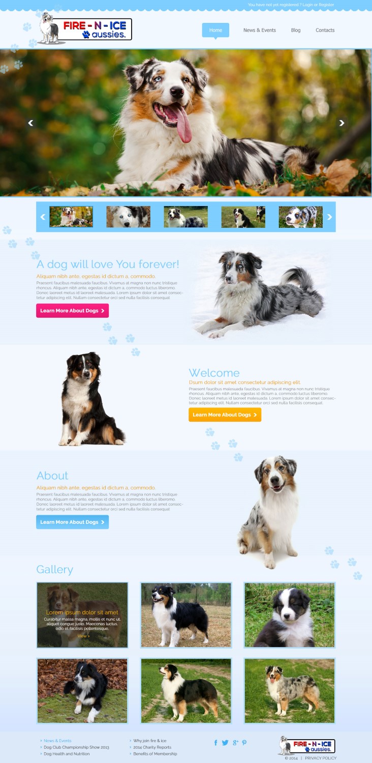 Web Design by TechWise for Case by Case Inc | Design #4188305