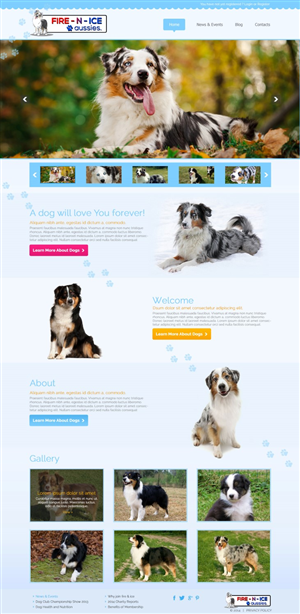 Web Design by TechWise for Case by Case Inc | Design #4188305