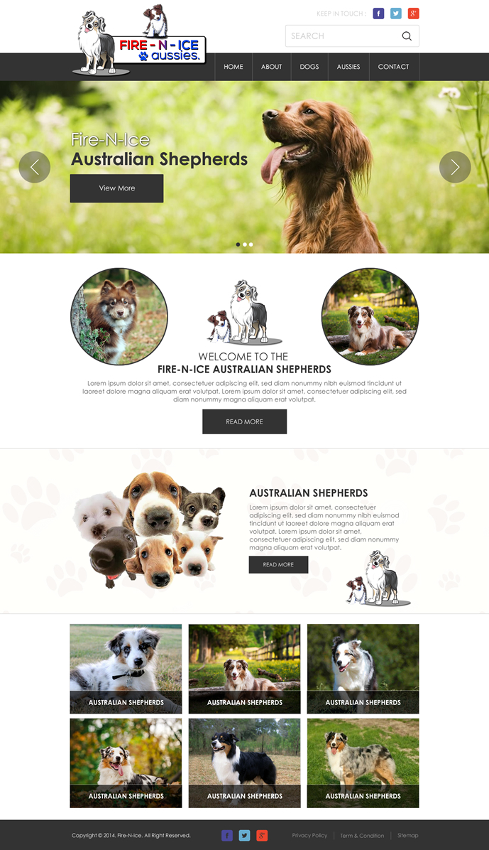 Web Design by Behriatech for Case by Case Inc | Design #4266714