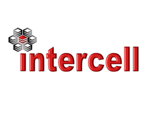 Logo Design by Kami
