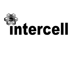 Logo Design by Kami for this project | Design: #1216287