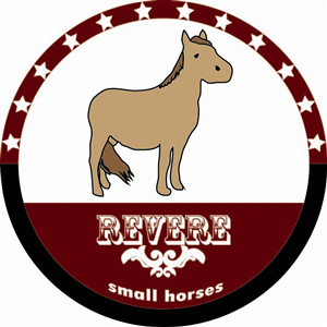Logo Design by jbickedesign