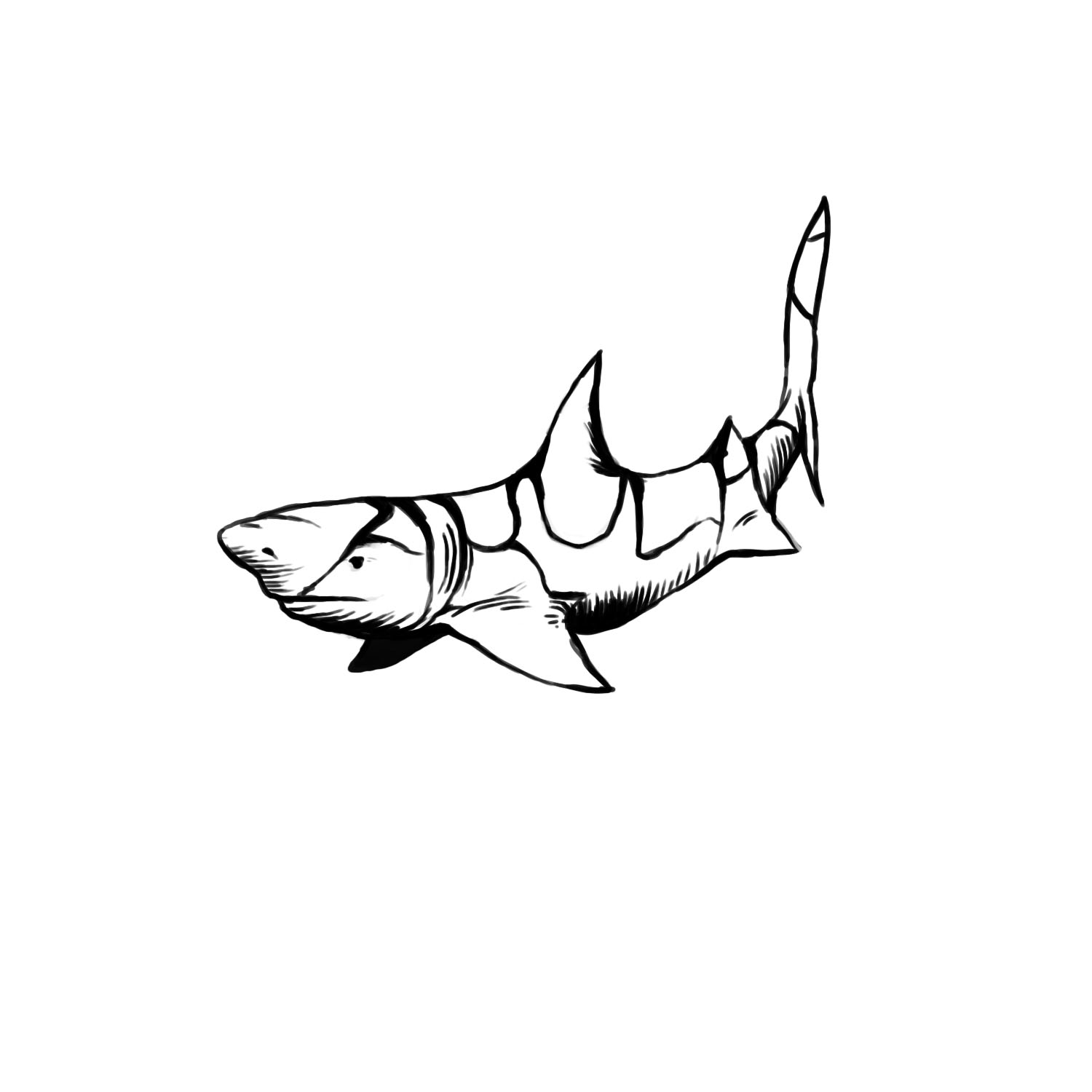 Illustration Design by zug for this project | Design #4177627