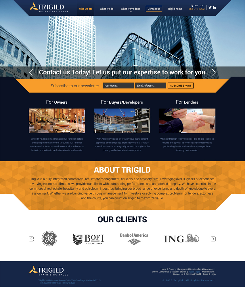 Diseño Web por looptriks para Trigild | Diseño #4179977