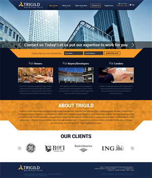 Web Design by looptriks