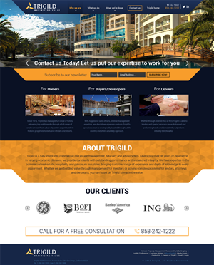 Web Design by looptriks for Trigild | Design #4206076