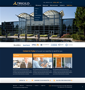 Web Design by pb for Trigild | Design: #4190060