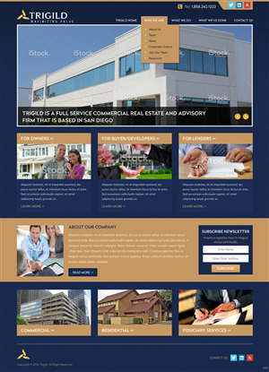 Web Design by pb for Trigild | Design: #4190065