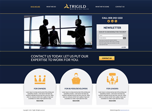 Web Design by Black Stallions Impressive Solutions for Trigild | Design #4192931