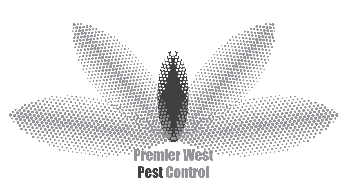 Logo Design by fabricebun for this project | Design #4180994