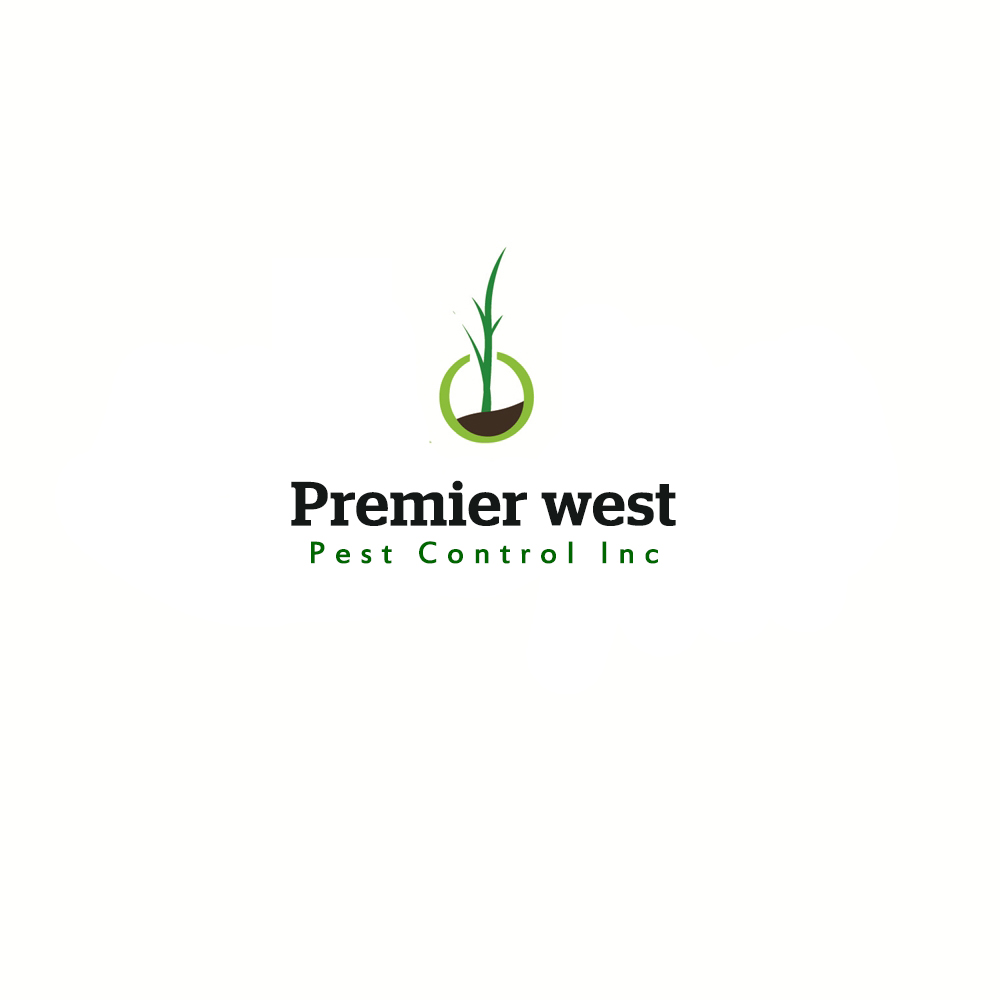 Logo Design by BASSEM AMER for this project | Design #4241870