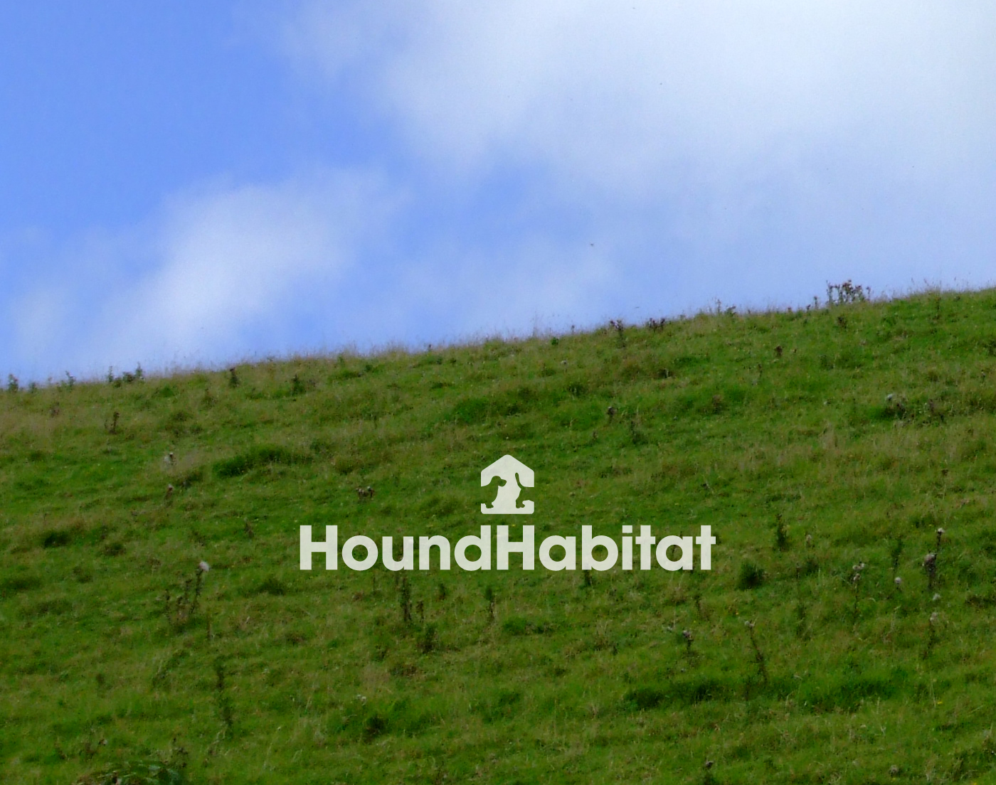 Diseño de Logo por Studio Cosmo para Hound Habiatat Pte Ltd | Diseño #167613