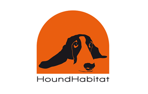 Logo Design by Hipster