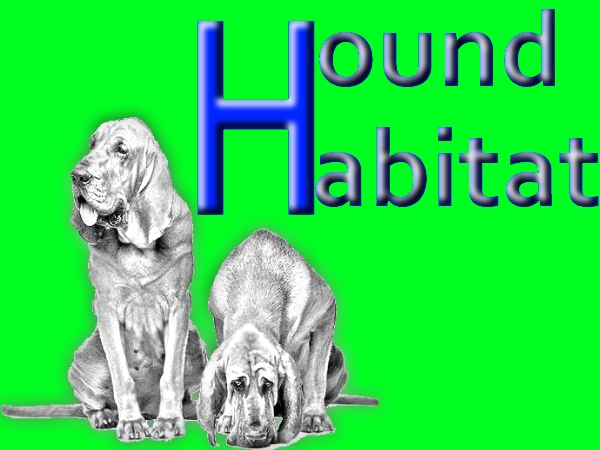 Design de Logo par YourLogoHereDesigns pour Hound Habiatat Pte Ltd | Design #166184