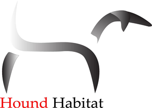 Logo Design by SeanWhiteInk