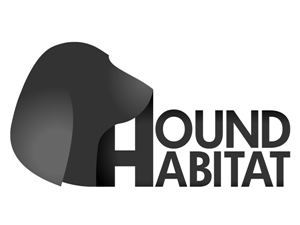 Logo Design by Bakus
