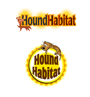 Logo Design by Naveen