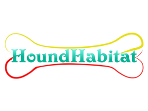 Logo Design by DeDi