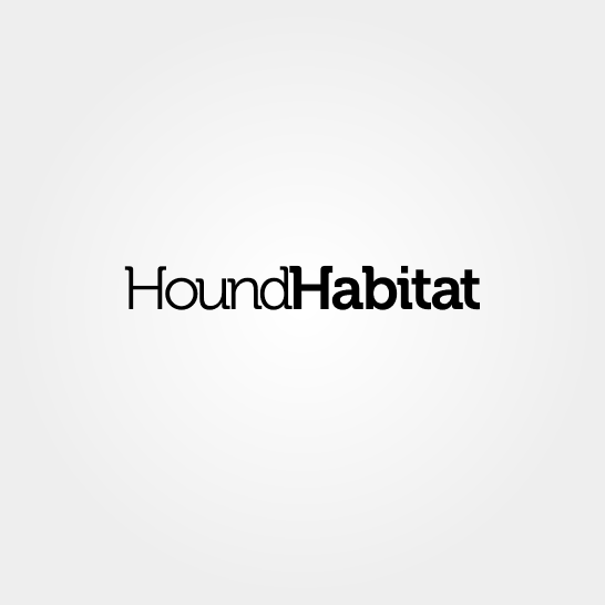 Design de Logo par Carrion pour Hound Habiatat Pte Ltd | Design #170660