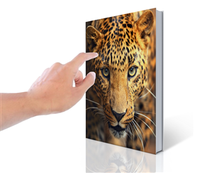 Brochure Design by JCR for Brunel Print | Design: #4274780