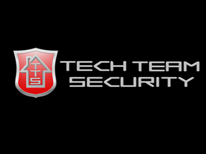 Logo Design by CONE for Tech Team Security Limited | Design: #4241083
