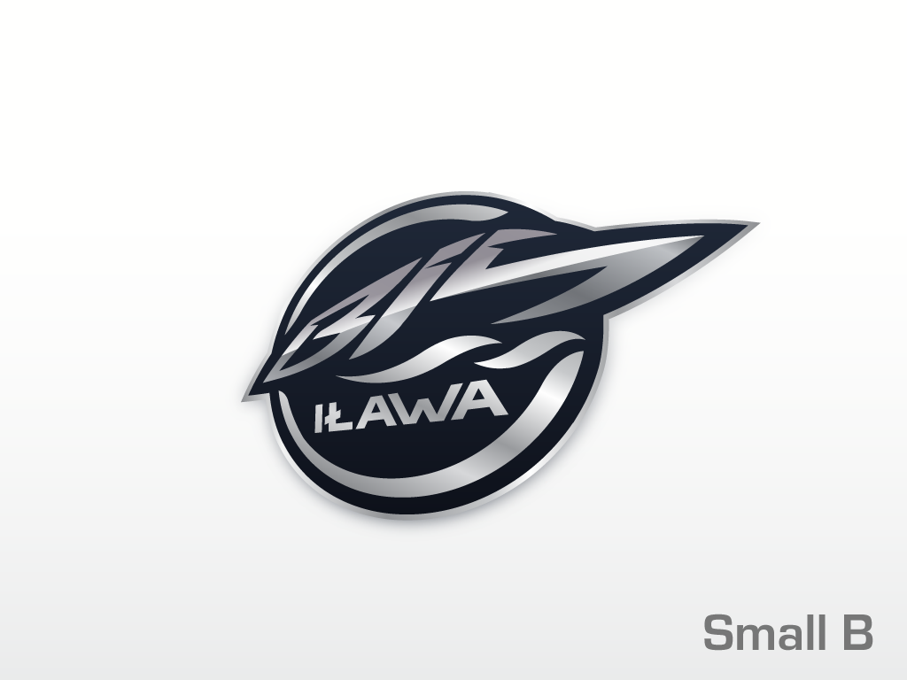 Design de Logo par dynamo graphics pour F.H.U. Bis Ilawa Jakub Majewski | Design #1218632