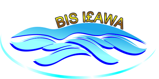 Logo Design by Mr. Ali Raza for F.H.U. Bis Ilawa Jakub Majewski | Design #1182600