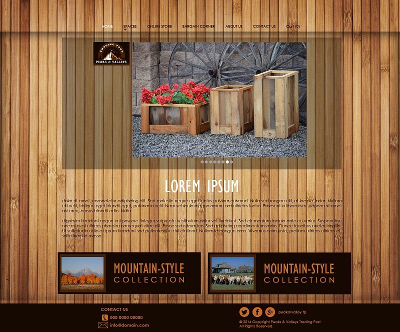 Web Design par Bling Connect Ink pour Peaks & Valleys Trading Post | Design #4202010