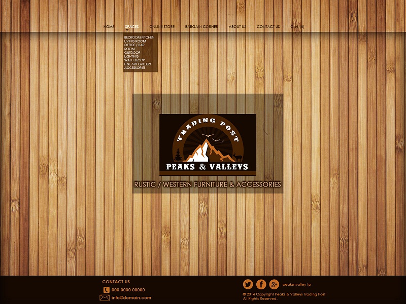 Web Design par Bling Connect Ink pour Peaks & Valleys Trading Post | Design #4202012