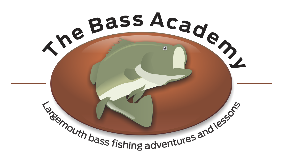 Logo Design by kreatif for Boston Media Agency | Design #4258840