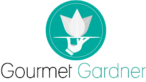 Logo Design by Josh Richards