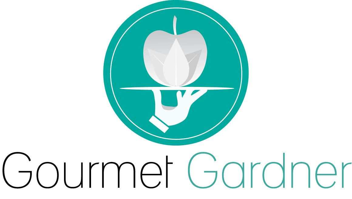 Logo Design by Josh Richards for this project | Design #4193172