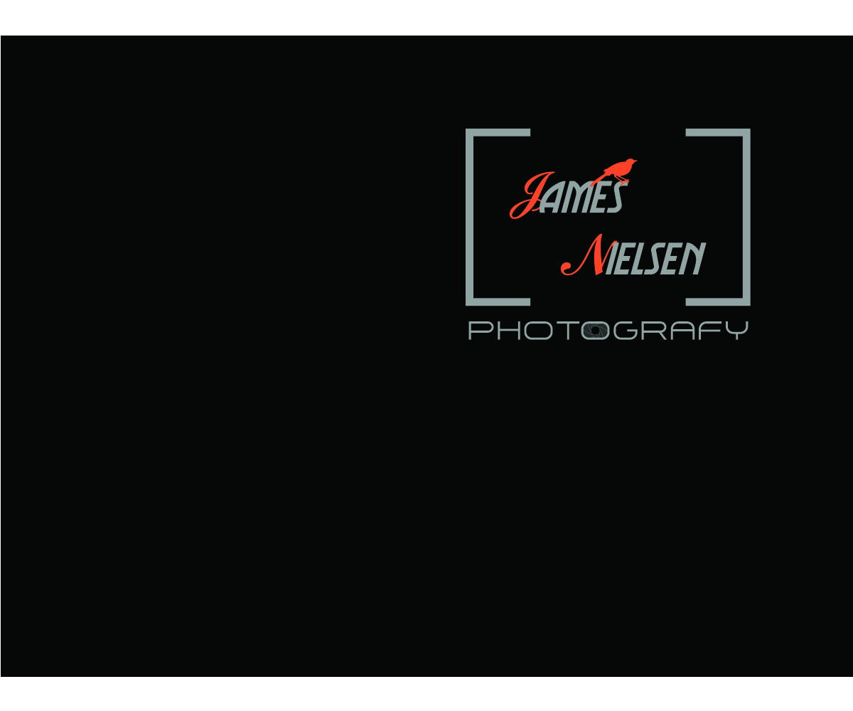 Logo Design by dnkdesign for James Nielsen Photography | Design #1176892