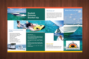 Flyer Design by Sbss for Paradise Properties | Design: #1179254