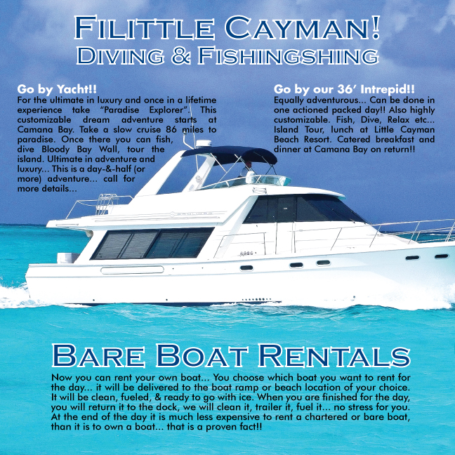 Flyer-Design von Impressive Solutions für Paradise Properties | Design #1185842