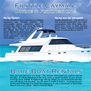 Flyer Design by Impressive Solutions for Paradise Properties | Design: #1185842