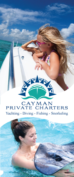 Flyer Design by Impressive Sol for Paradise Properties | Design #1215865