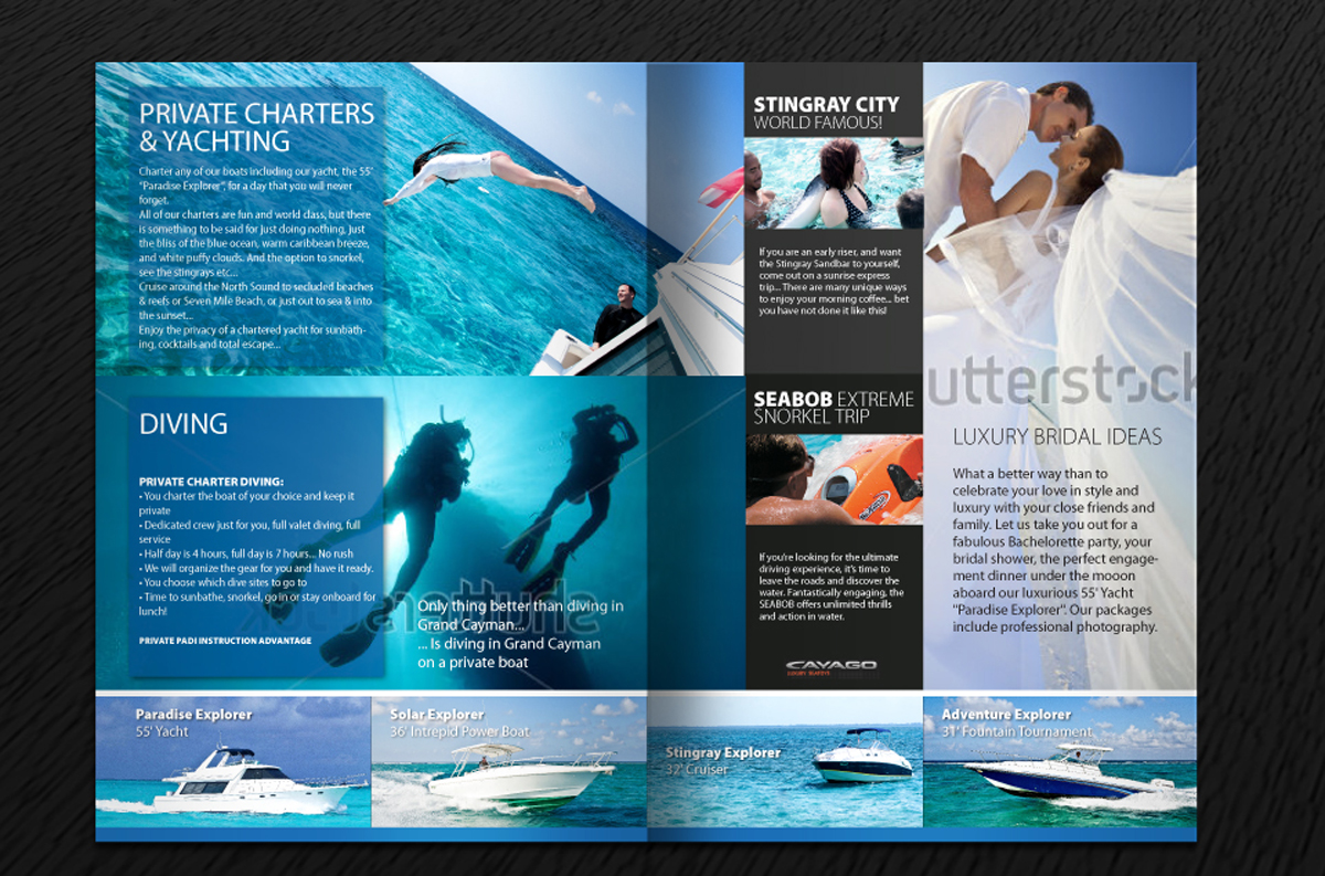 Diseño de Flyer por Svetlin Angelov para Paradise Properties | Diseño #1182979