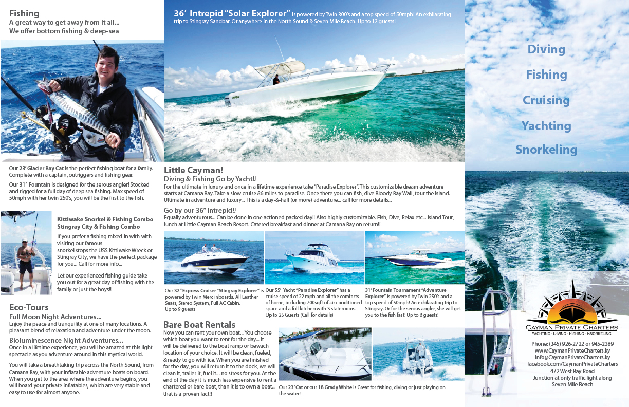 Flyer Design by Peggy Lee for Paradise Properties | Design #1192454