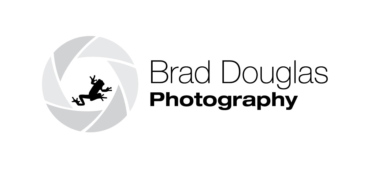 Logo Design by Jaco Botha for this project | Design #4264191