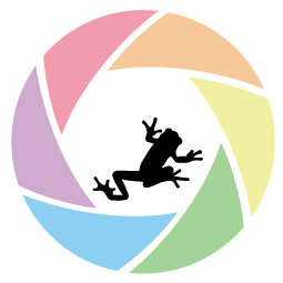 Logo Design by Jaco Botha for this project | Design: #4264199