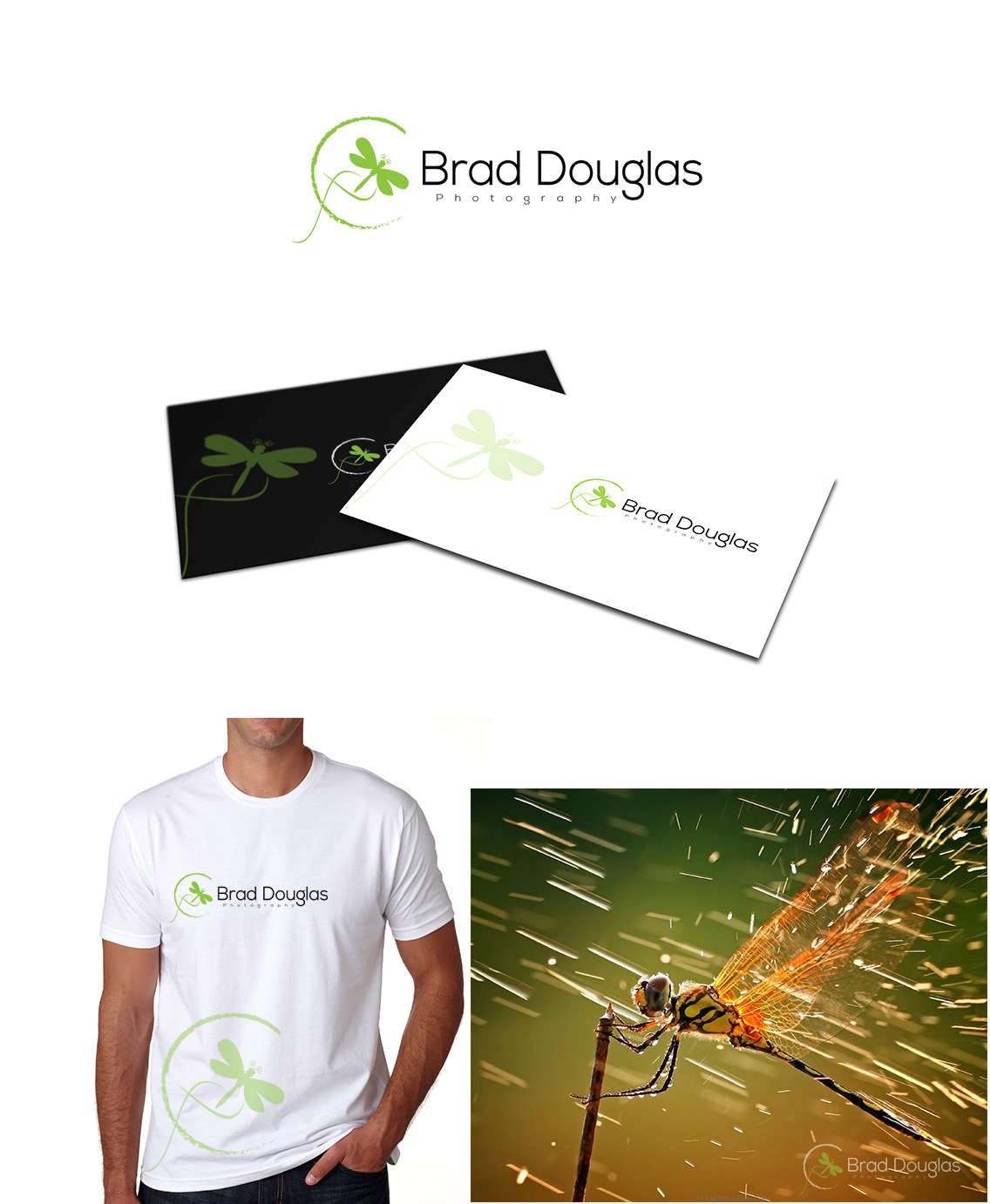 Logo Design by Gentle Spring Rain for this project | Design #4194321