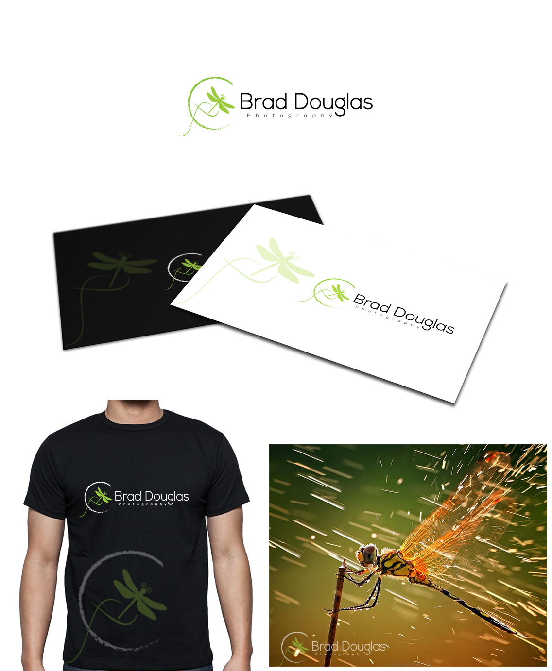 Logo Design by Gentle Spring Rain for this project | Design #4198228